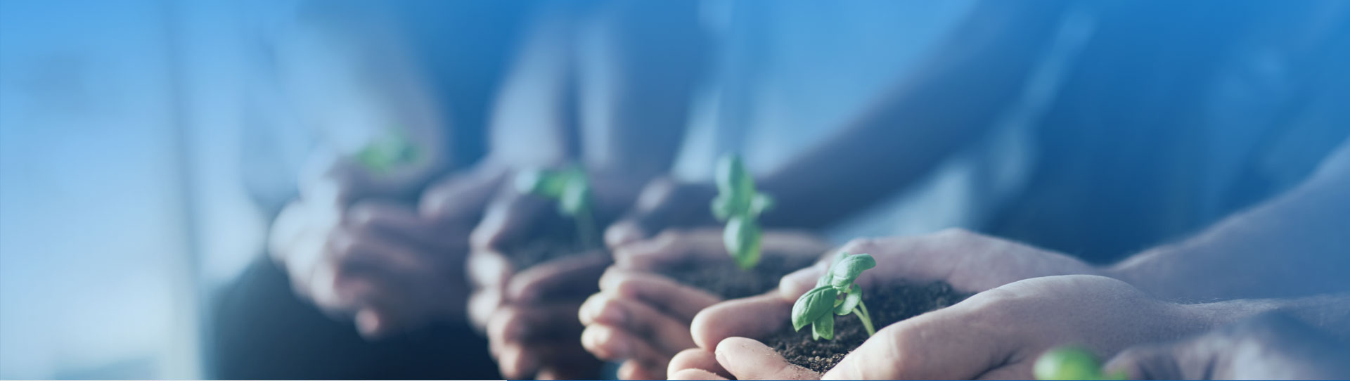 壹定发(中国游)最新官方网站